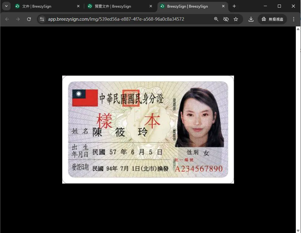 顯示文件